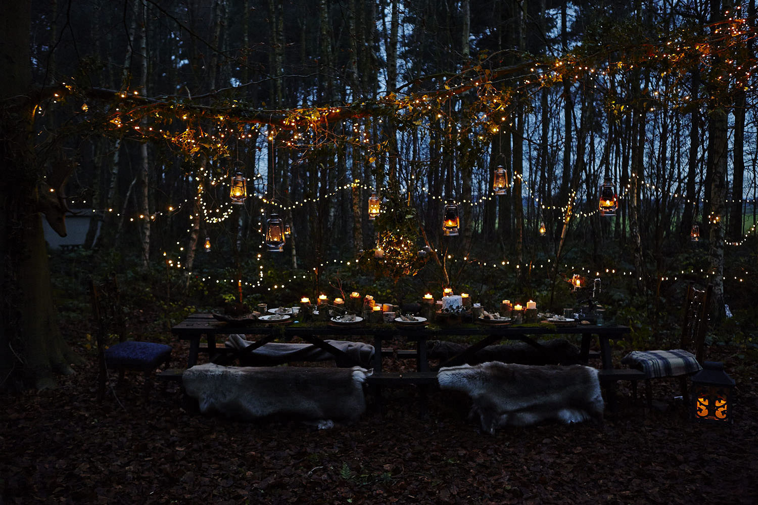 Lights in the trees at night.