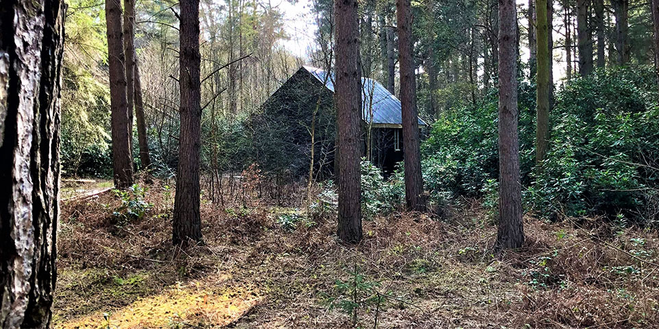Woodland Bothy Outside View