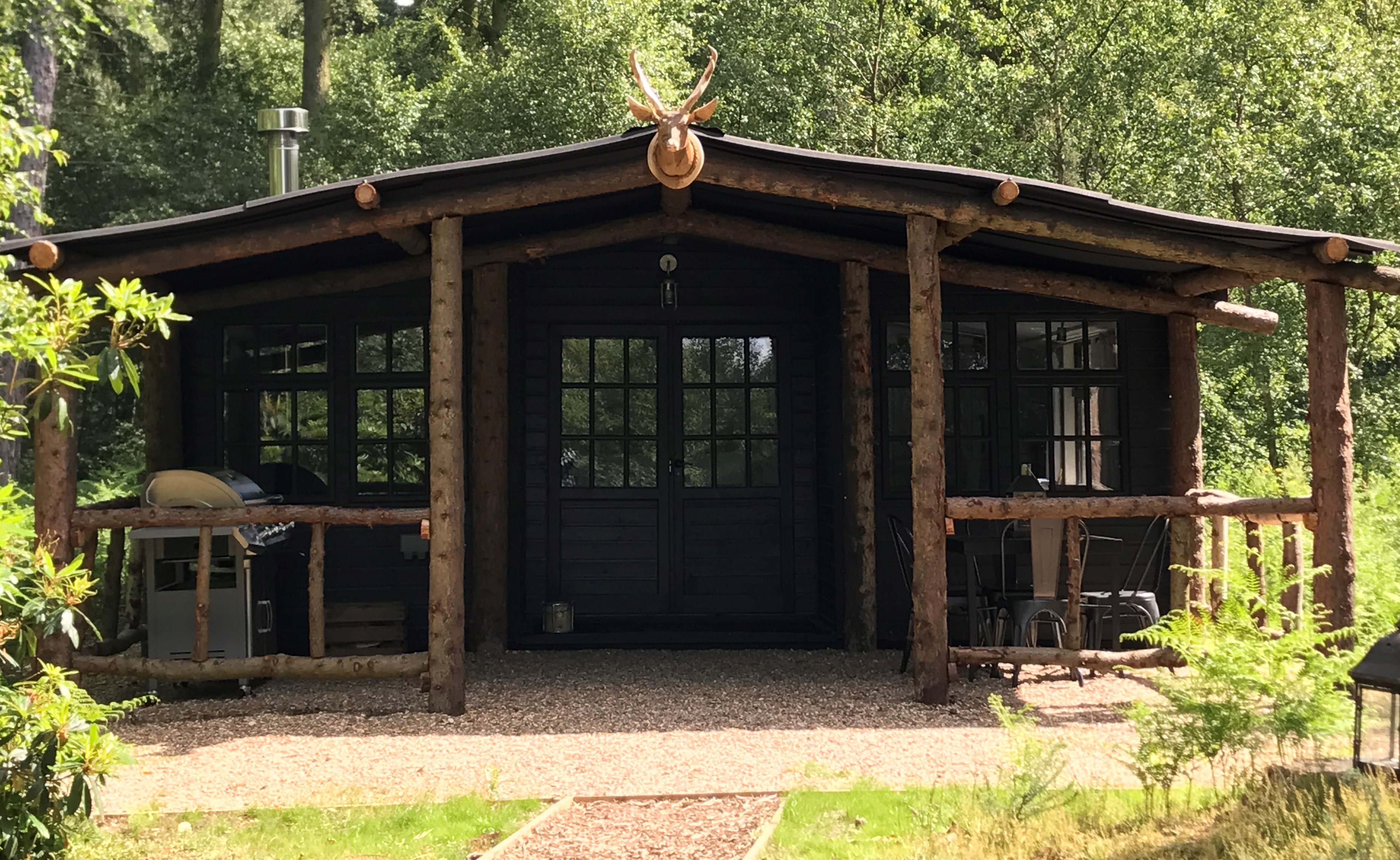 A north star cabin, in a sunny clearing