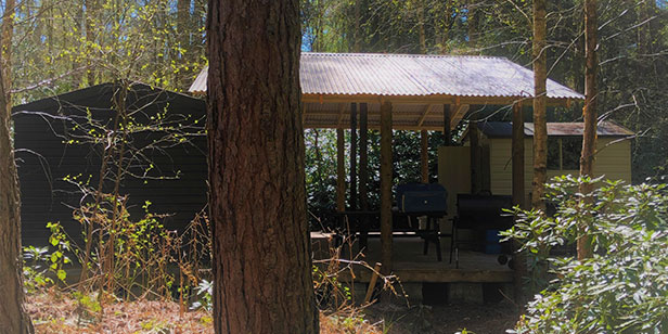 Woodland hut outside shot