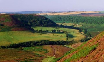 North York Moors